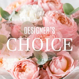 Designers Choice