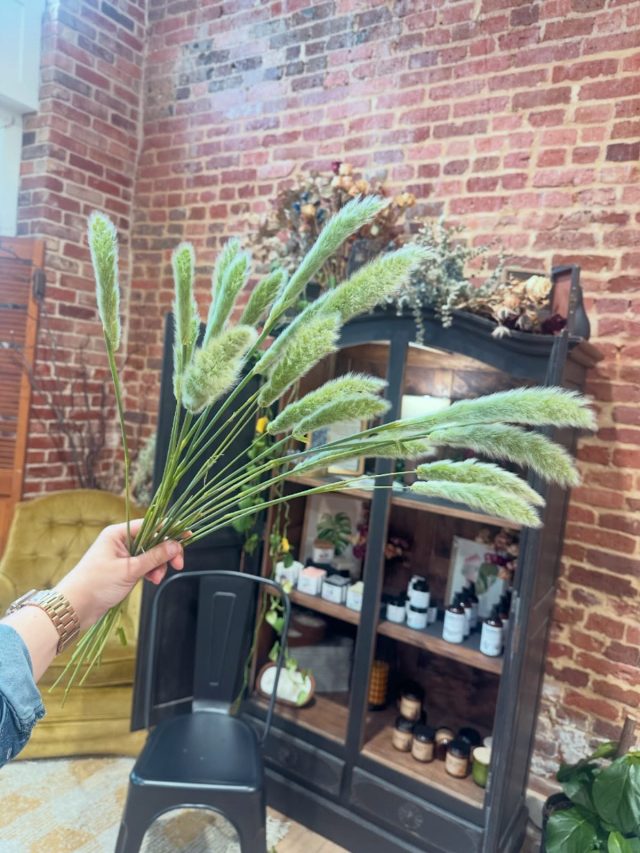It must be S P R I N G🌸 when the bunny tail comes out🐰 This fun ornamentals grass is one of our top 5 to add to your florals! 
#bunnytail #springflowers #flowers #freshflowers