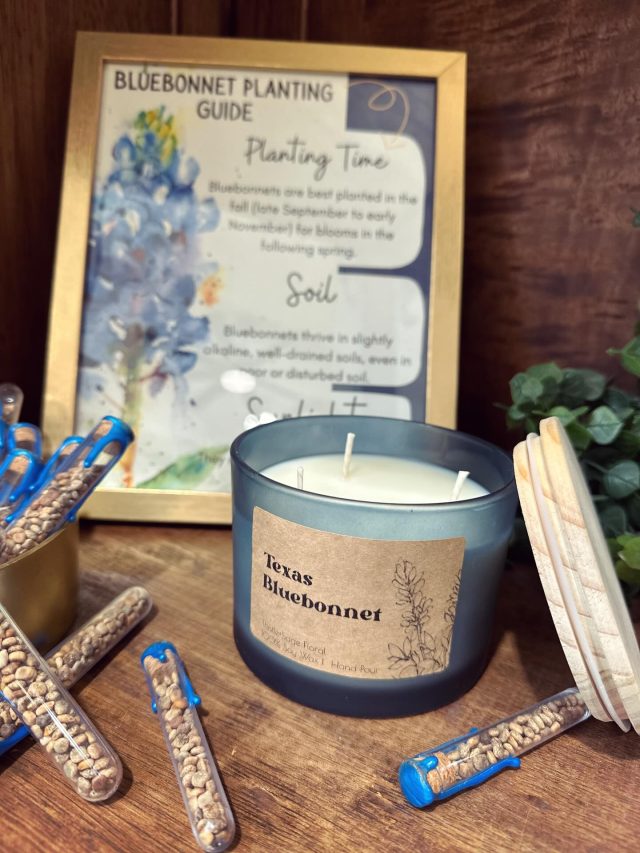💙 BLUEBONNET SEASON IS HERE 💙 

Our hand poured bluebonnet candles are back and will hit the shelves April 1st! 😱 • first come first serve •

4oz + 8oz + 16oz available for purchase 
#bluebonnet #bluebonnetseeds #candle #handpouredsoycandles #shoplocal